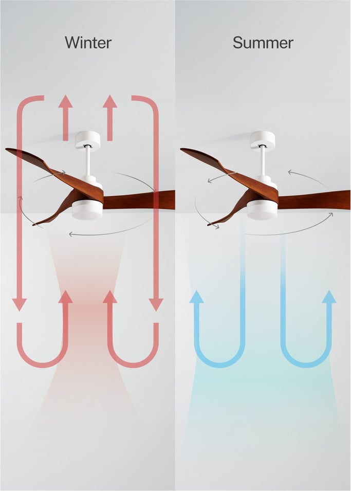 WIND CURVE - Silent 40W ceiling fan Ø132 cm 100% wood, gallery image 3