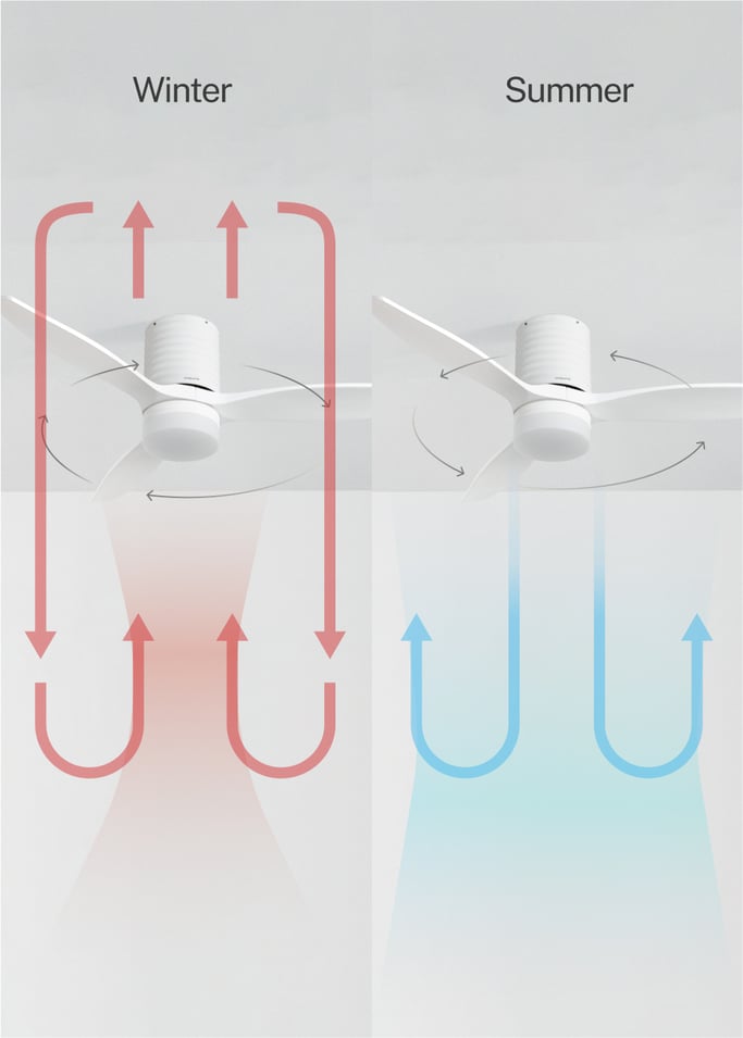 WIND CALM LINE - Silent 40W ceiling fan Ø132 cm 100% wood, gallery image 5