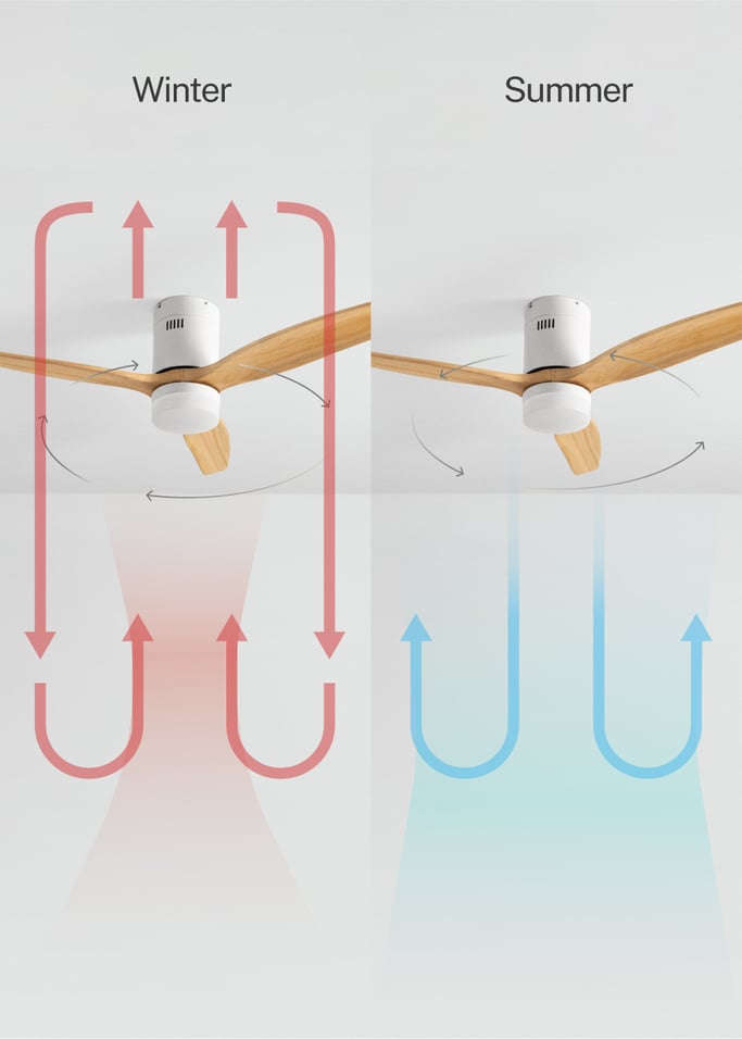 WIND CALM SPECIAL PRICE - Silent 40W ceiling fan Ø132 cm 100% wood, gallery image 3