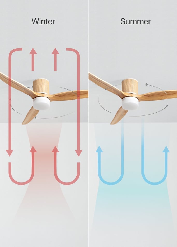 WIND CALM RATTAN - Ceiling fan 40W silent Ø132 cm with LED light in body and lamp, gallery image 3