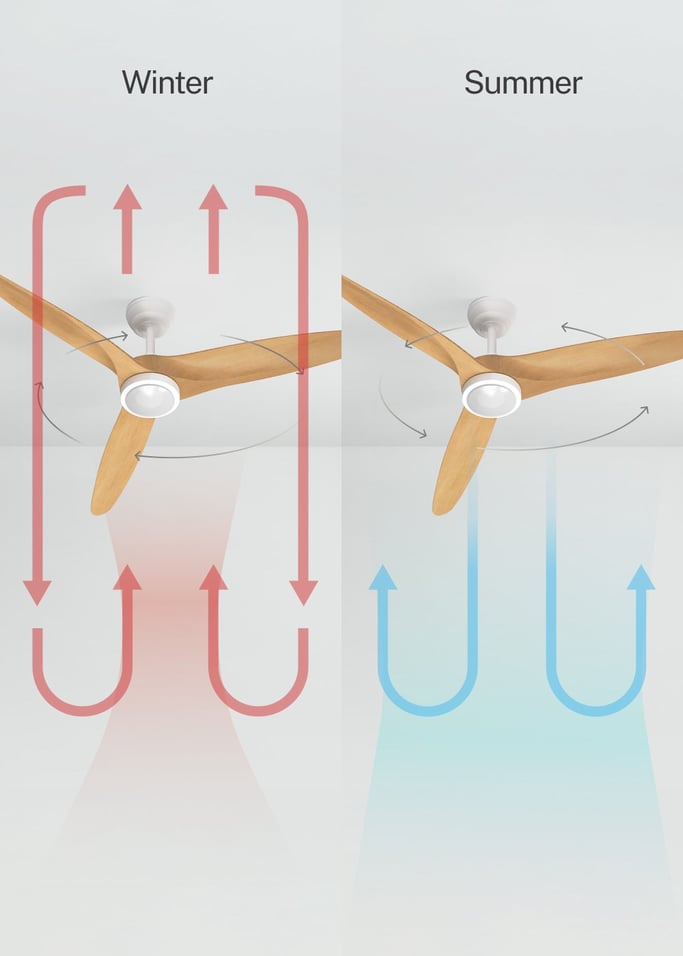 WIND CENTURY - Ceiling fan 40W silent Ø152 cm 100% wood, gallery image 3