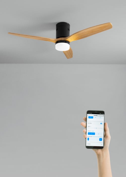 Buy WIND CALM NATURAL WOOD - Silent 40W ceiling fan 100% wood various sizes