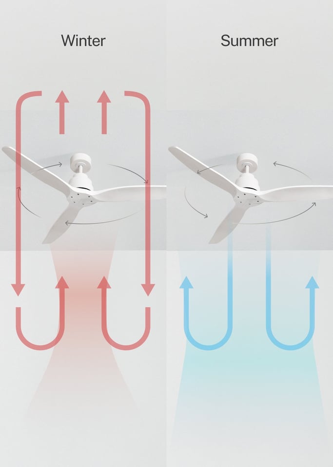 WIND STYLANCE - Silent 40W ceiling fan 100% wood various sizes, gallery image 3