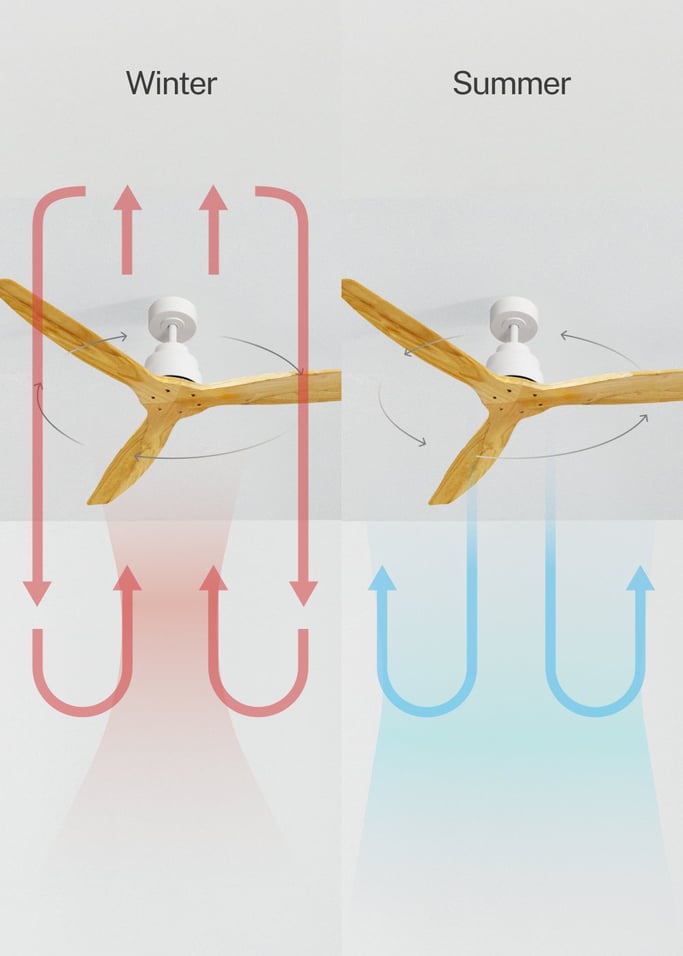 WIND STYLANCE - Silent 40W ceiling fan 100% wood various sizes, gallery image 3