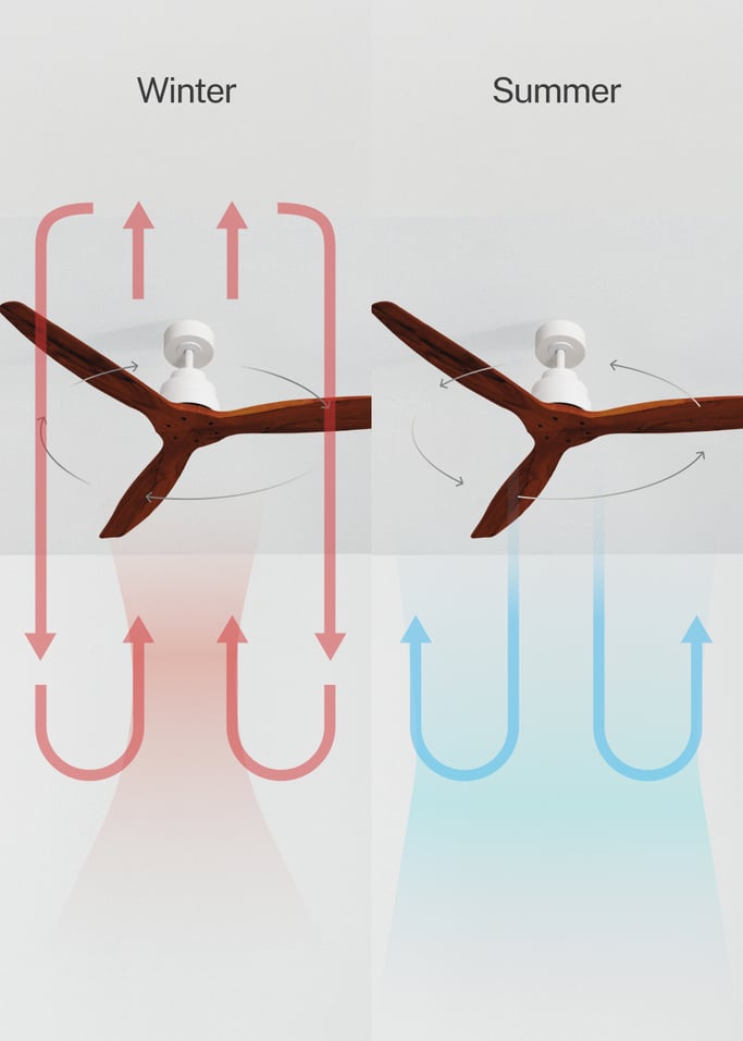 WIND STYLANCE - Silent 40W ceiling fan 100% wood various sizes, gallery image 3