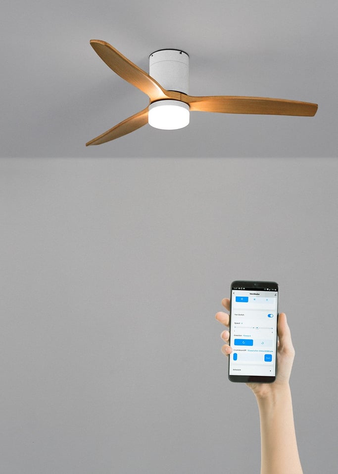 WIND CALM - Ceiling fan 40W silent various sizes suitable for indoor and outdoor use, gallery image 2