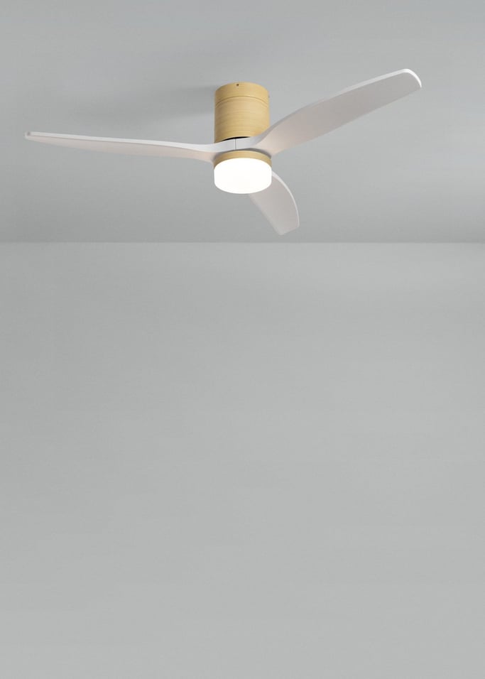 WIND CALM - Ceiling fan 40W silent various sizes suitable for indoor and outdoor use, gallery image 2