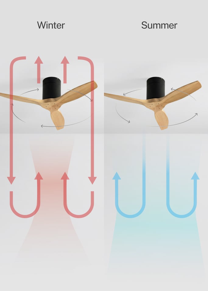 WIND CALM - Quiet 40W ceiling fan with technical ABS blades various sizes, gallery image 3
