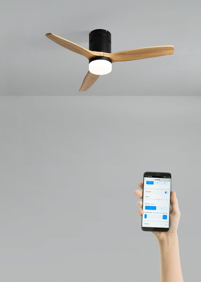 WIND CALM NATURAL WOOD - Silent 40W ceiling fan 100% wood, gallery image 2