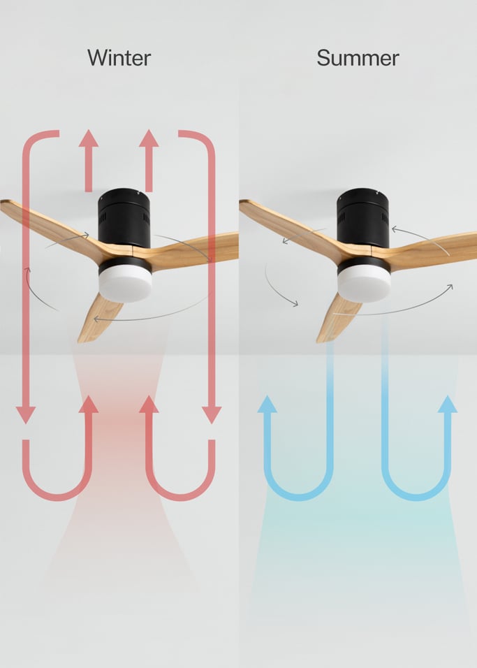 WIND CALM NATURAL WOOD - Silent 40W ceiling fan 100% wood, gallery image 3