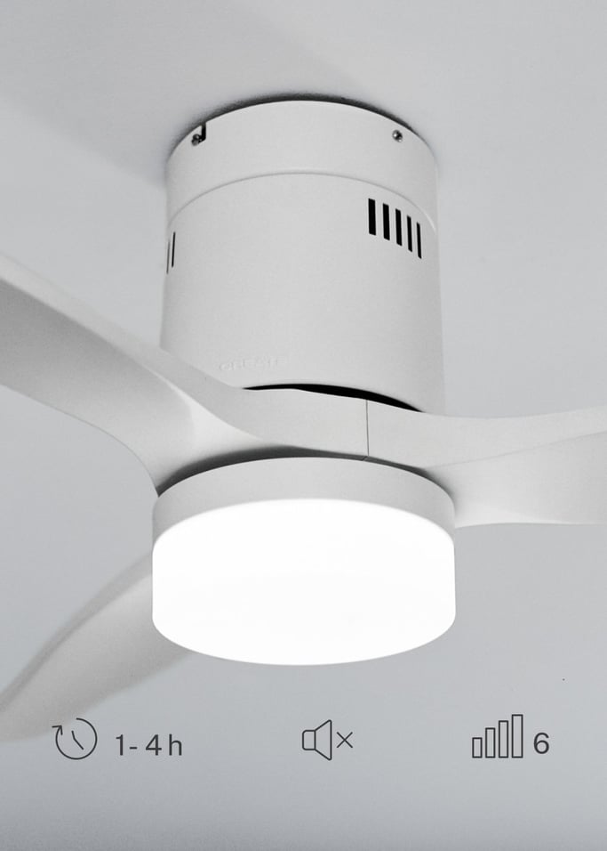 WIND CALM NATURAL WOOD - Silent 40W ceiling fan 100% wood, gallery image 4