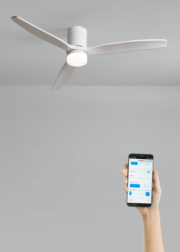 WIND CALM - Quiet 40W ceiling fan with technical ABS blades various sizes, gallery image 2