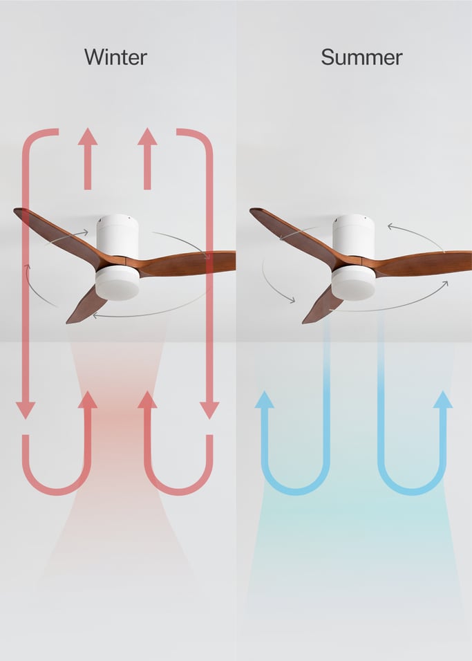 WIND CALM - Quiet 40W ceiling fan with technical ABS blades various sizes, gallery image 3