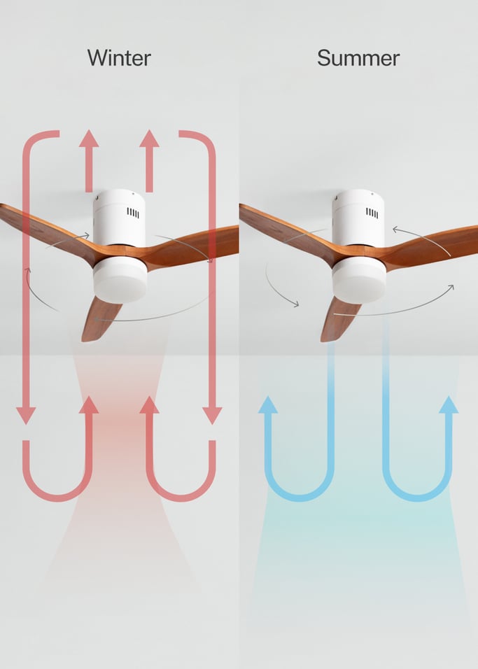 WIND CALM NATURAL WOOD - Silent 40W ceiling fan 100% wood, gallery image 3