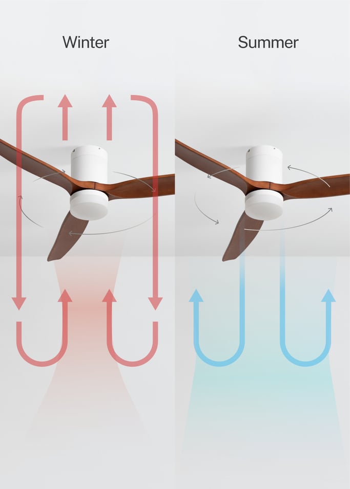 WIND CALM - Quiet 40W ceiling fan with technical ABS blades various sizes, gallery image 3