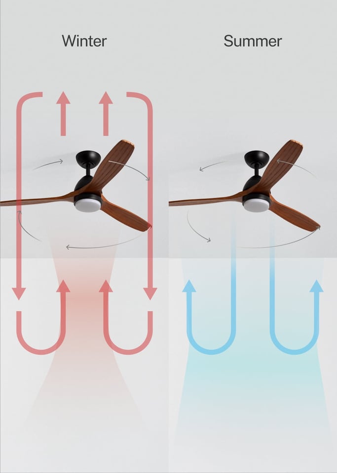 WIND CUP - Silent 40W ceiling fan Ø132 cm 100% wood, gallery image 3