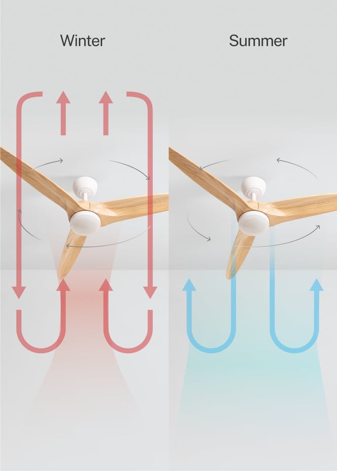 WIND CENTURY - Ceiling fan 40W silent Ø152 cm 100% wood, gallery image 3