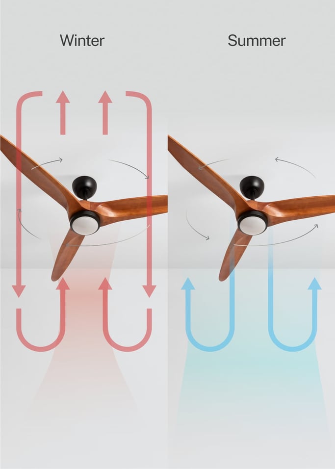 WIND CENTURY - Ceiling fan 40W silent Ø152 cm 100% wood, gallery image 3
