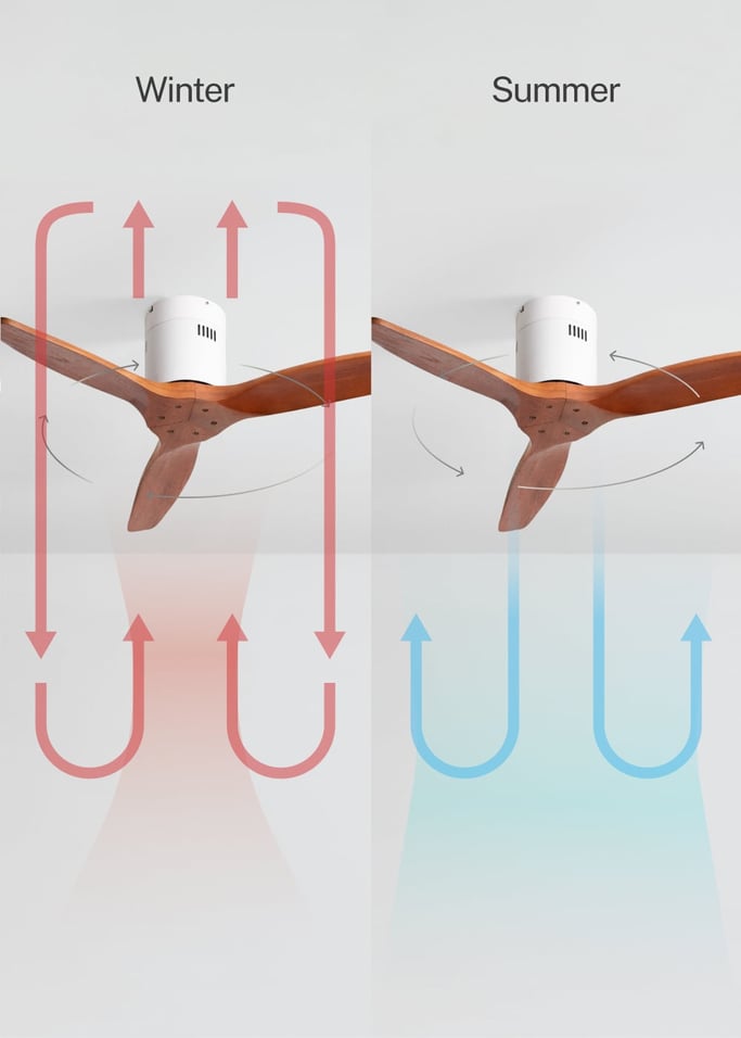 WIND CALM NATURAL WOOD - Silent 40W ceiling fan 100% wood, gallery image 3