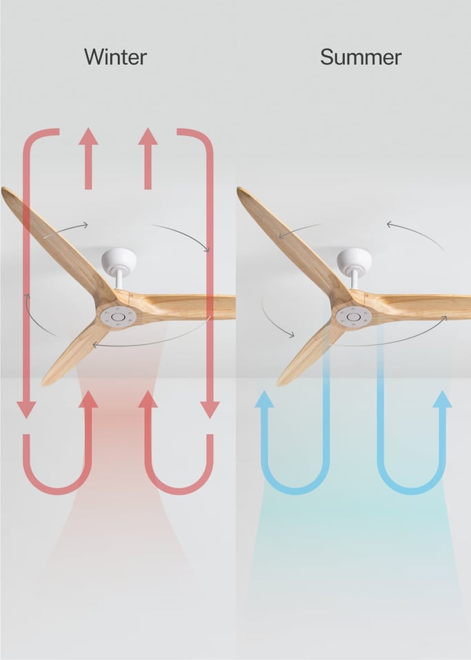 WIND CENTURY - Ceiling fan 40W silent Ø152 cm 100% wood, gallery image 3