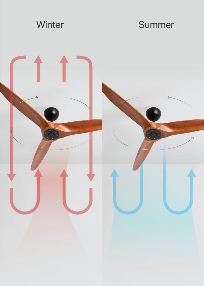 WIND CENTURY - Ceiling fan 40W silent Ø152 cm 100% wood, gallery image 3