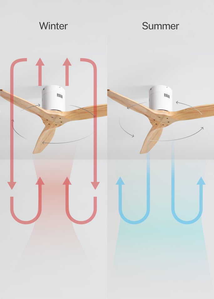 WIND CALM NATURAL WOOD - Silent 40W ceiling fan 100% wood, gallery image 3