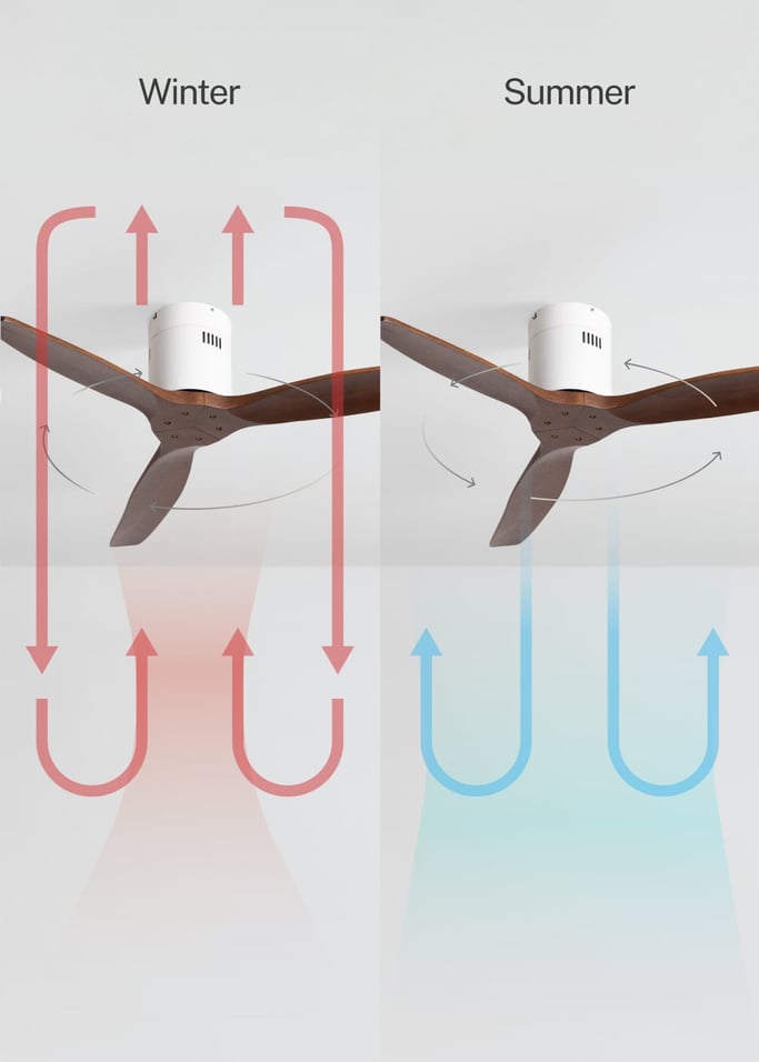 WIND CALM NATURAL WOOD - Silent 40W ceiling fan 100% wood, gallery image 3