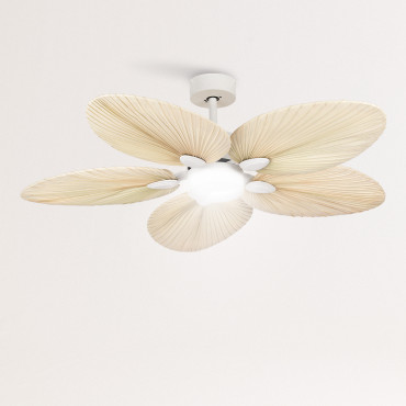 WINDLIGHT PALM DC - 40W DC Ultrasilent 